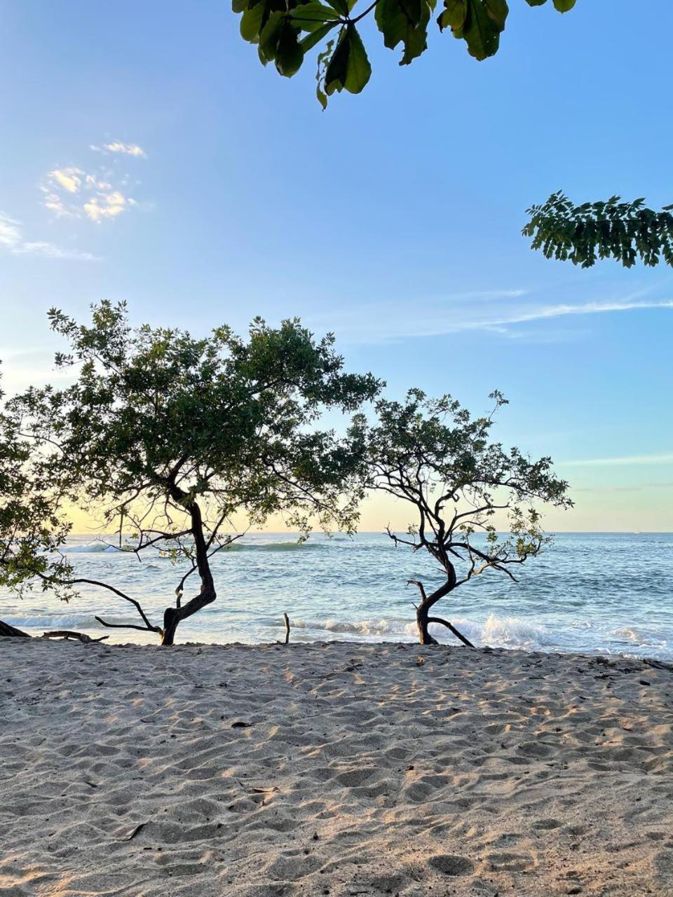 Tamarindo Beach, Prime Location, Fantastic Watersalt Pool & Cold Plunge, Family & Friends ภายนอก รูปภาพ